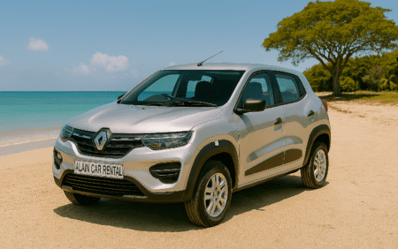 Renault Kwid Grey